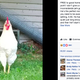 Screengrab via Facebook.